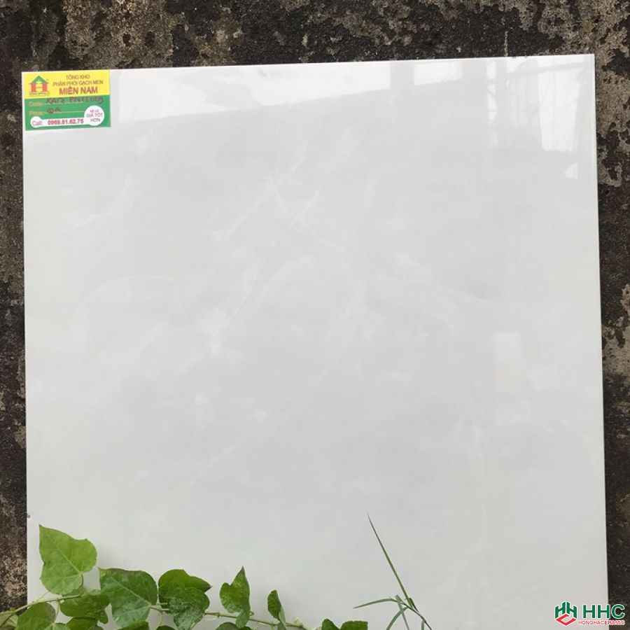 Gạch 60x60 TTC KA17PN66009